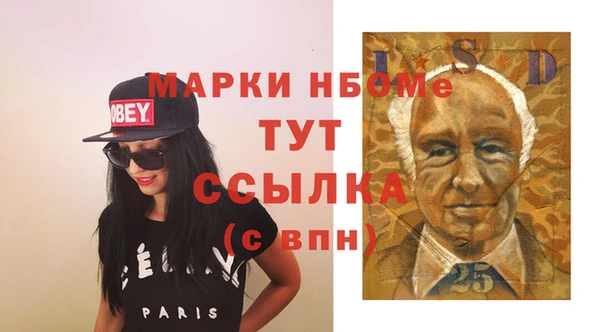 твердый Новозыбков