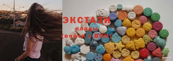 твердый Новозыбков