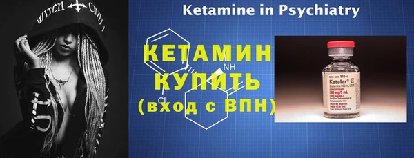 твердый Новозыбков