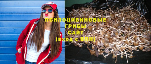 MESCALINE Нефтекумск