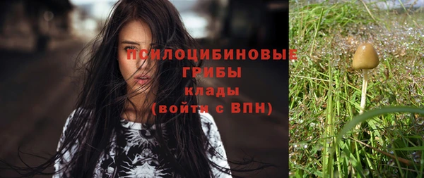 MESCALINE Нефтекумск