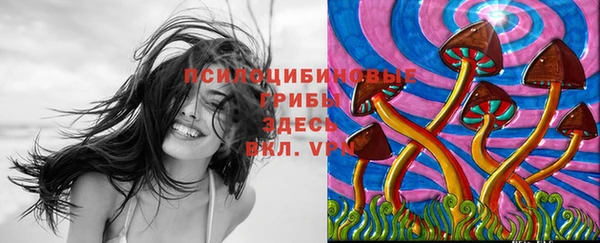 MESCALINE Нефтекумск