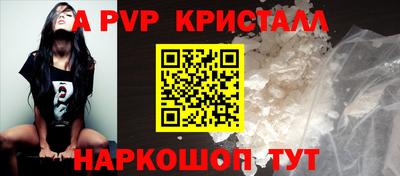 спиды Донской