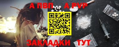 спиды Донской