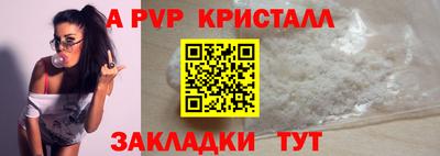 спиды Донской