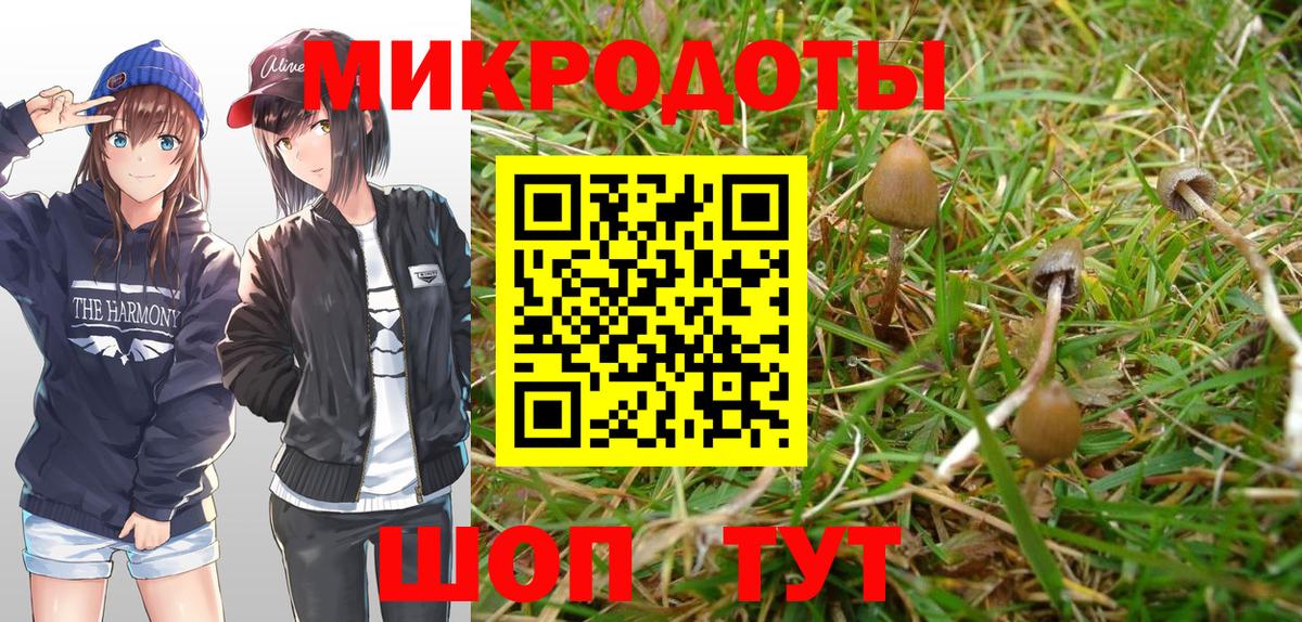 Галлюциногенные грибы Magic Shrooms  где можно купить   Киров  Псилоцибиновые грибы Psilocybine cubensis  Вход с VPN 