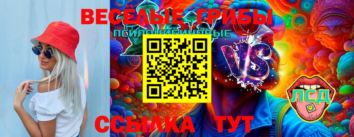 Псилоцибиновые грибы Magic Shrooms Киров